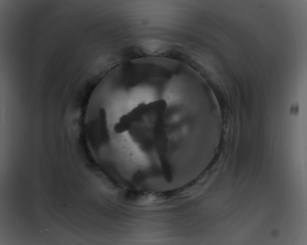 X0000102480319200808081311