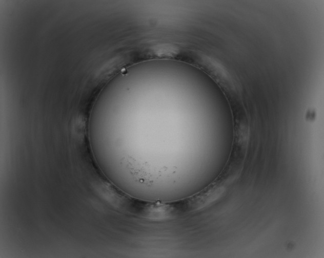 X0000102480321200808081311