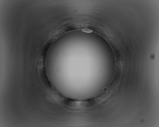 X0000102480323200808081311