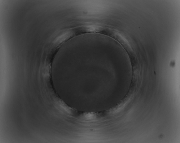 X0000102480325200808081311