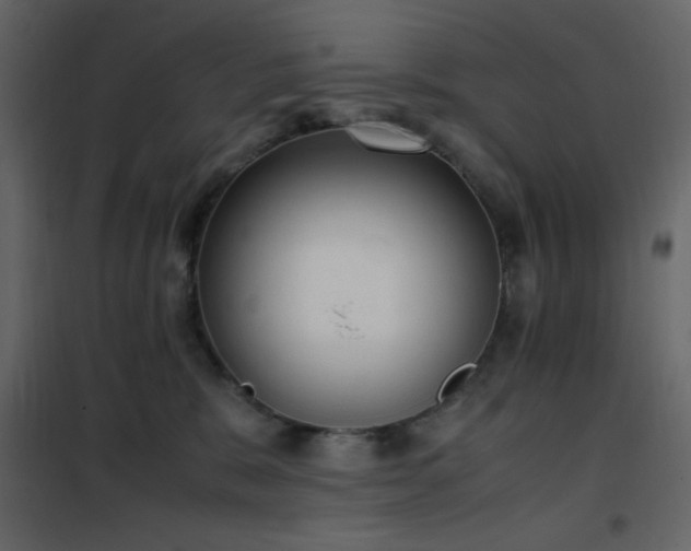 X0000102480327200808081311