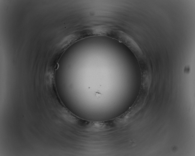 X0000102480329200808081311