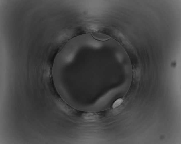 X0000102480331200808081311