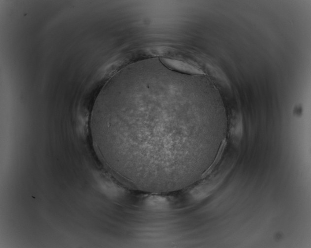 X0000102480332200808081311