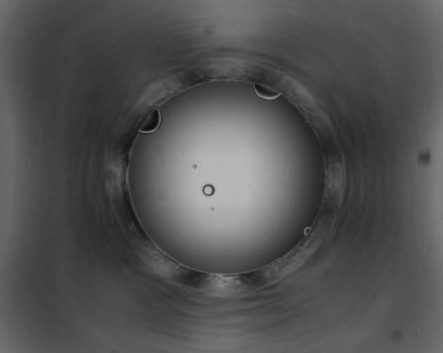 X0000102480333200808081311