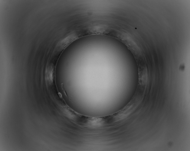 X0000102480334200808081311