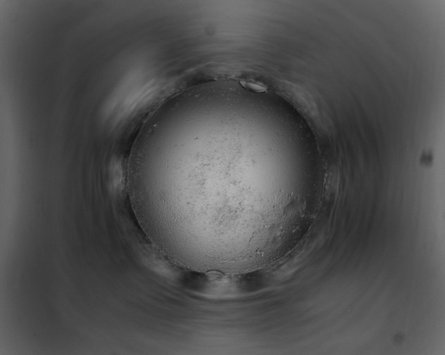 X0000102480335200808081311