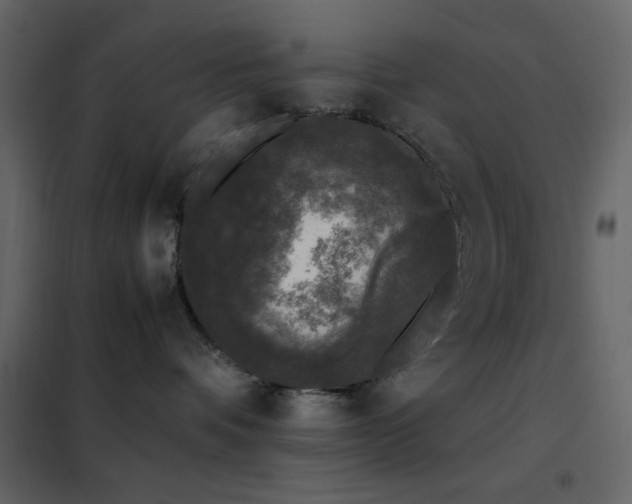 X0000102480336200808081311