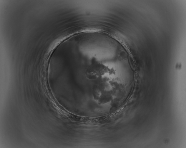 X0000102480337200808081310