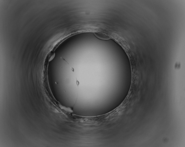X0000102480338200808081310