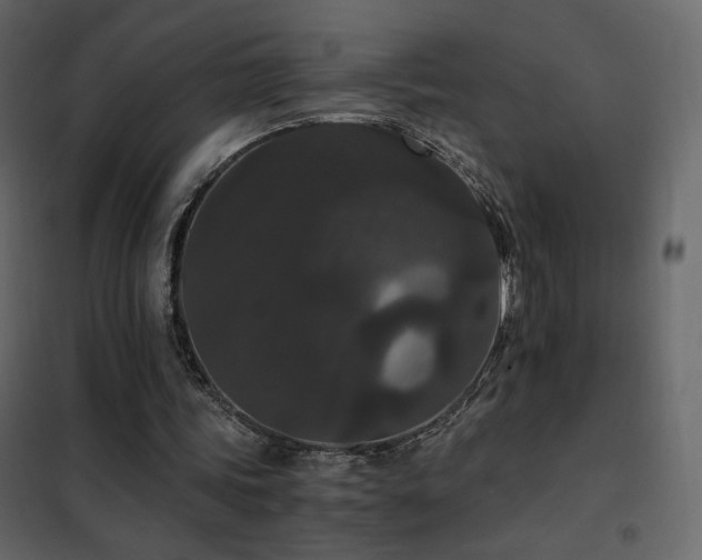 X0000102480339200808081310