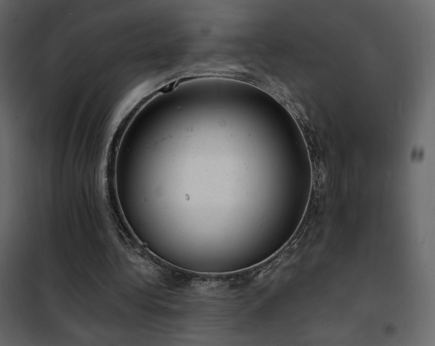 X0000102480340200808081310