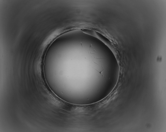X0000102480341200808081310