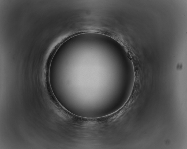 X0000102480342200808081310