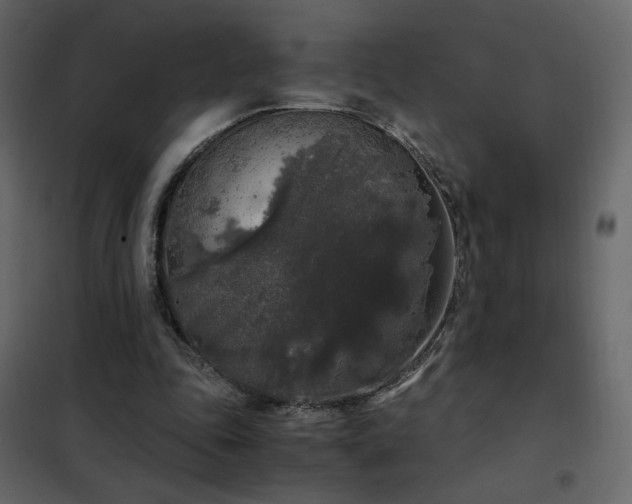 X0000102480343200808081310
