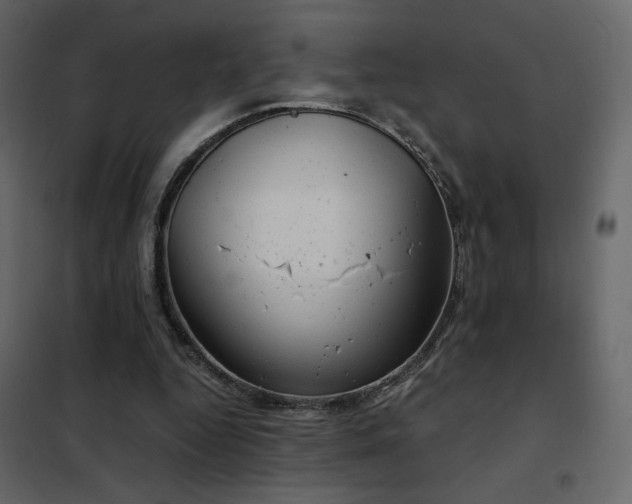 X0000102480344200808081310