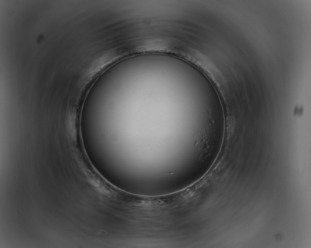 X0000102480345200808081310