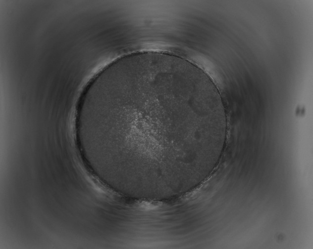 X0000102480346200808081310