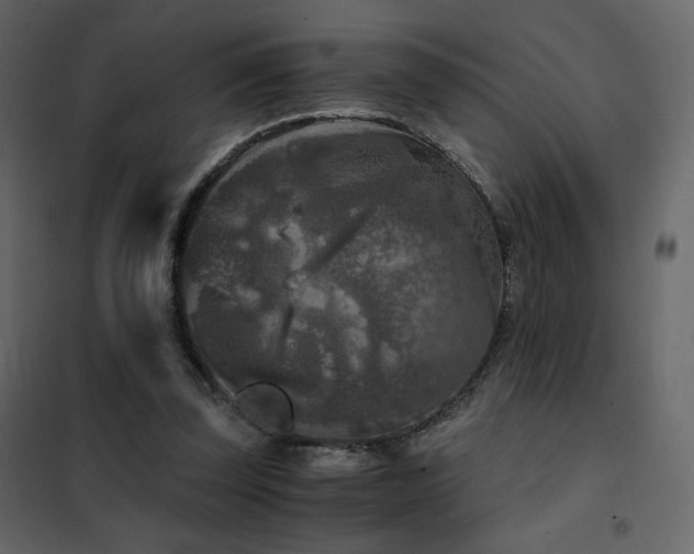 X0000102480347200808081310