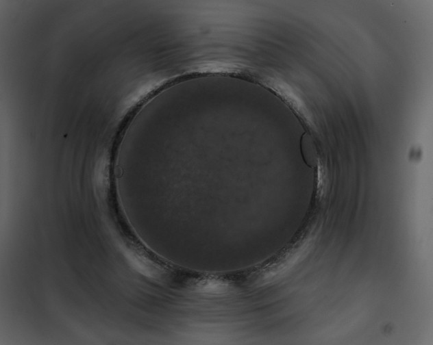 X0000102480348200808081310