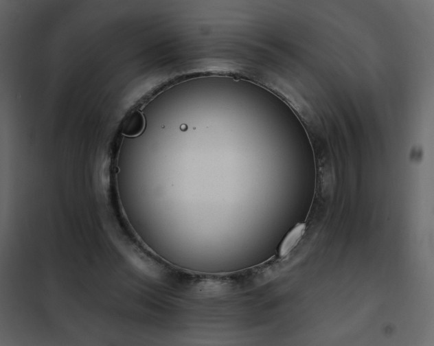 X0000102480350200808081310