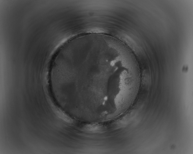 X0000102480351200808081310
