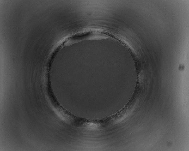X0000102480352200808081310