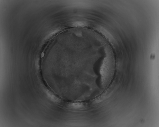 X0000102480353200808081310