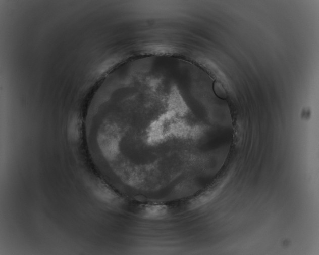 X0000102480355200808081310