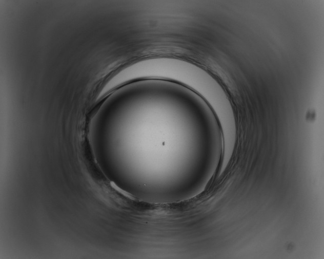 X0000102480356200808081310