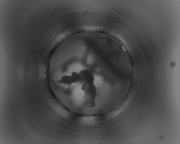 X0000102480357200808081310