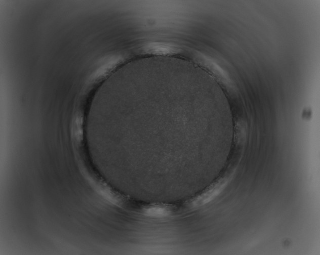 X0000102480358200808081310