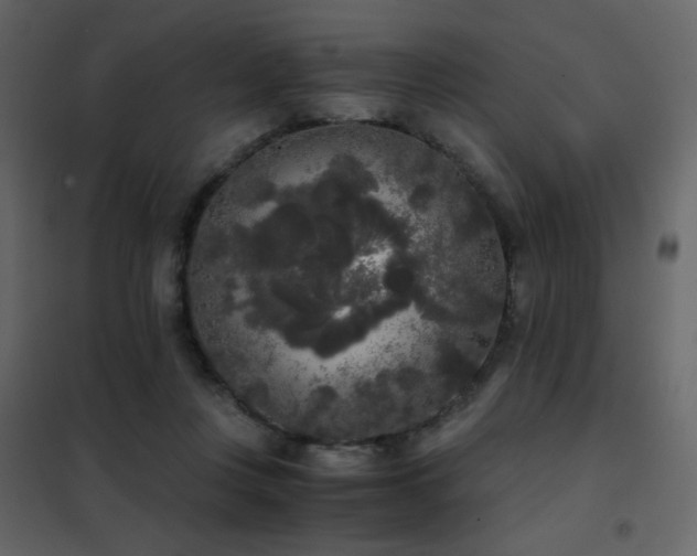 X0000102480359200808081310