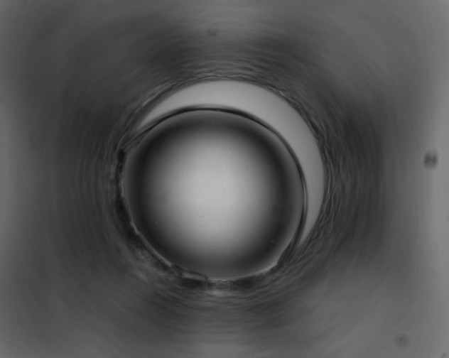 X0000102480360200808081310