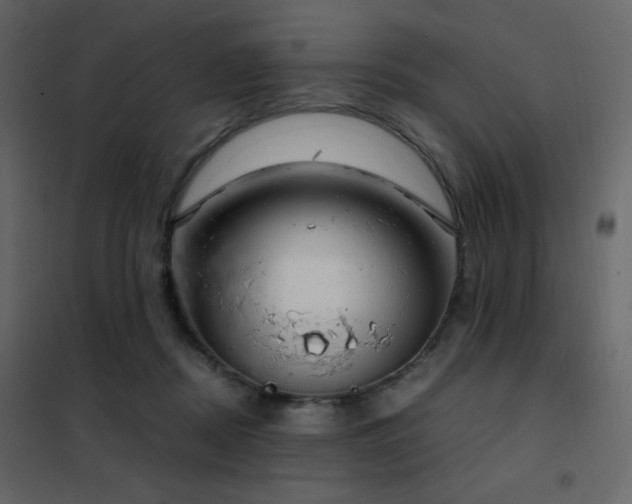 X0000102480362200808081310