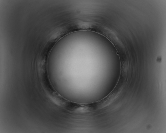 X0000102480364200808081310