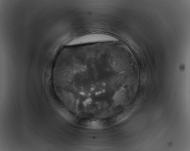 X0000102480365200808081310