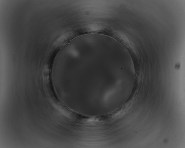 X0000102480366200808081310