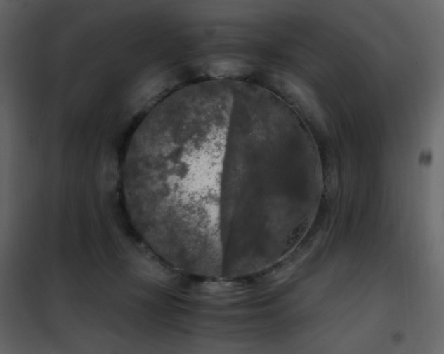 X0000102480367200808081310
