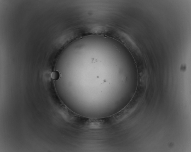X0000102480368200808081310