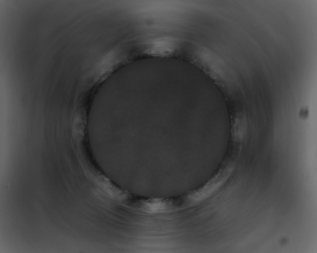 X0000102480370200808081310