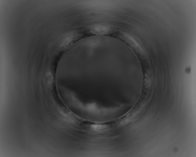 X0000102480371200808081310