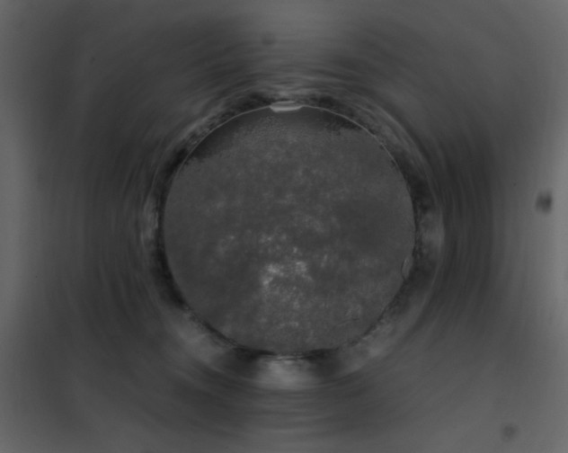 X0000102480372200808081310