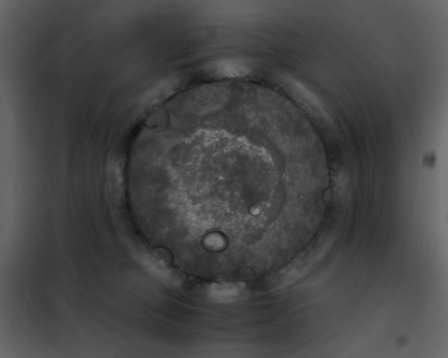 X0000102480373200808081310