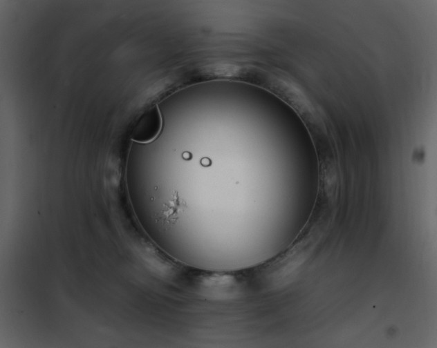 X0000102480374200808081310