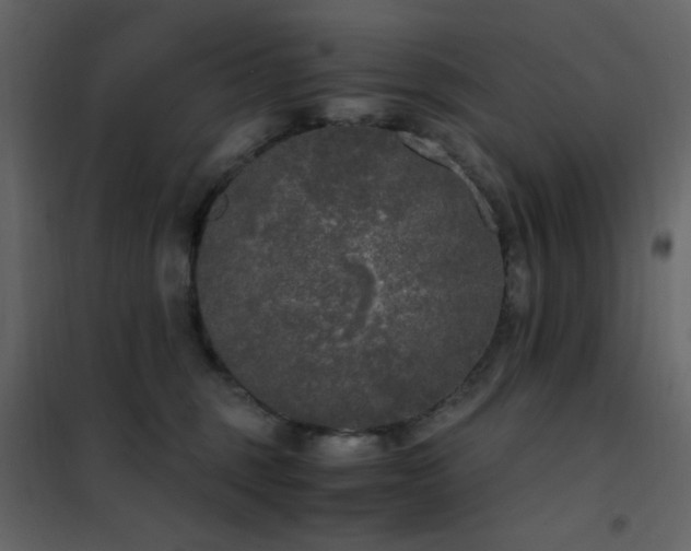 X0000102480375200808081311