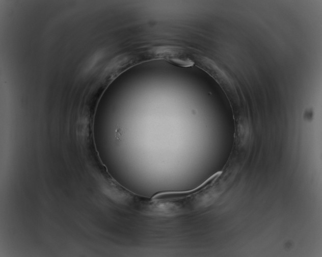X0000102480379200808081311