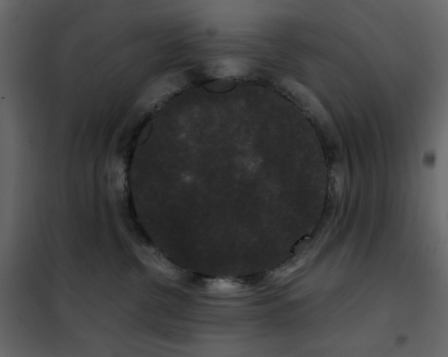 X0000102480380200808081311