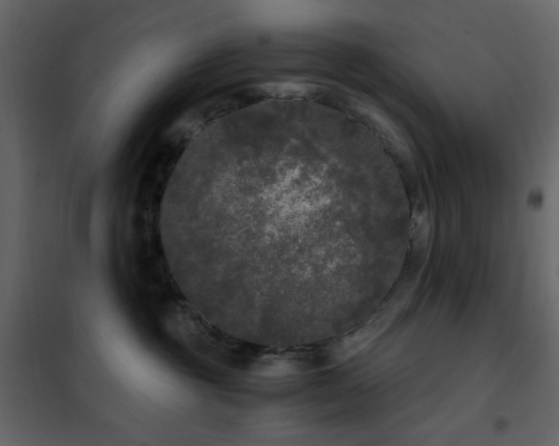 X0000102480381200808081311