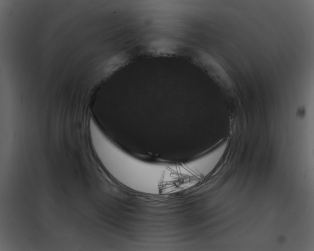 X0000102480382200808081311